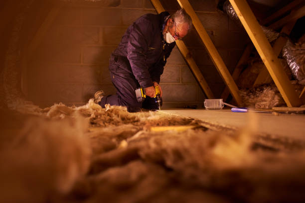 Best Eco-Friendly or Green Insulation Solutions  in Fox River Grove, IL